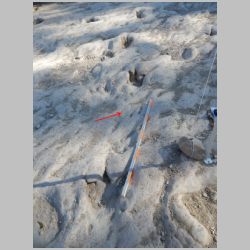 29-DSCN0243cr Baby in middle.jpg